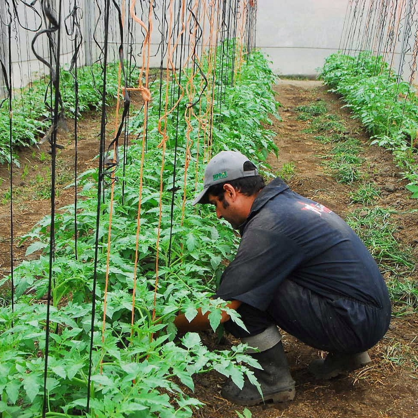 Noticiero @GobDeMerida En Marcha