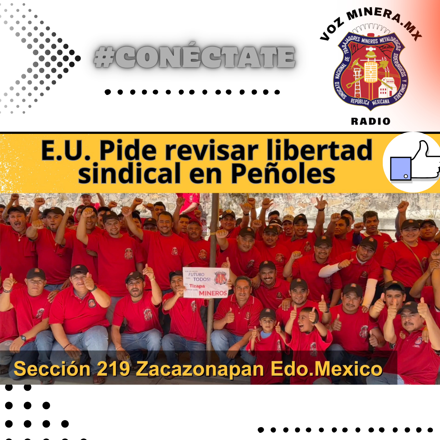 Voz Minera MX