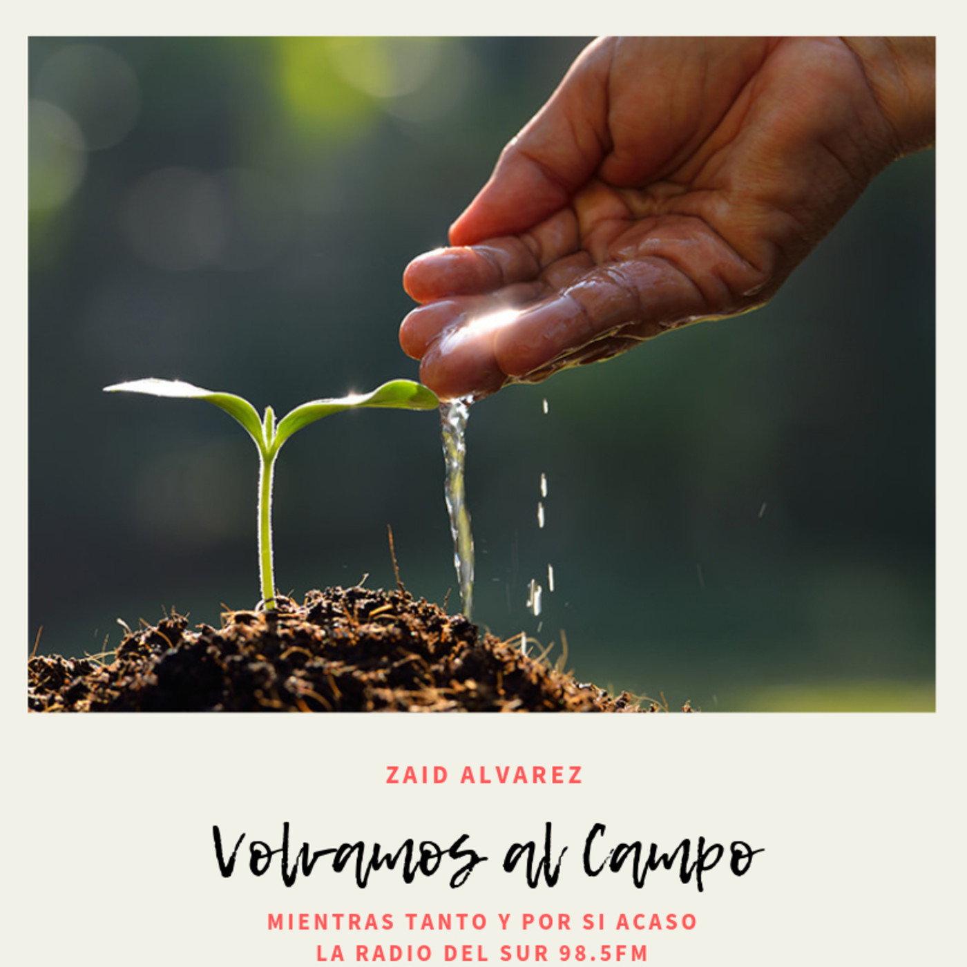 Columna Volvamos al Campo