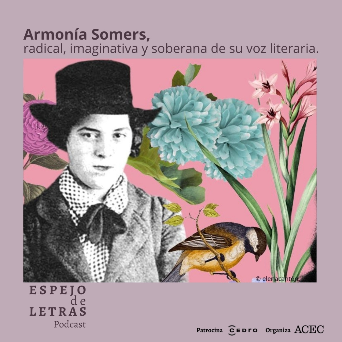 Armonía Somers, radical, imaginativa y soberana de su voz literaria episode artwork