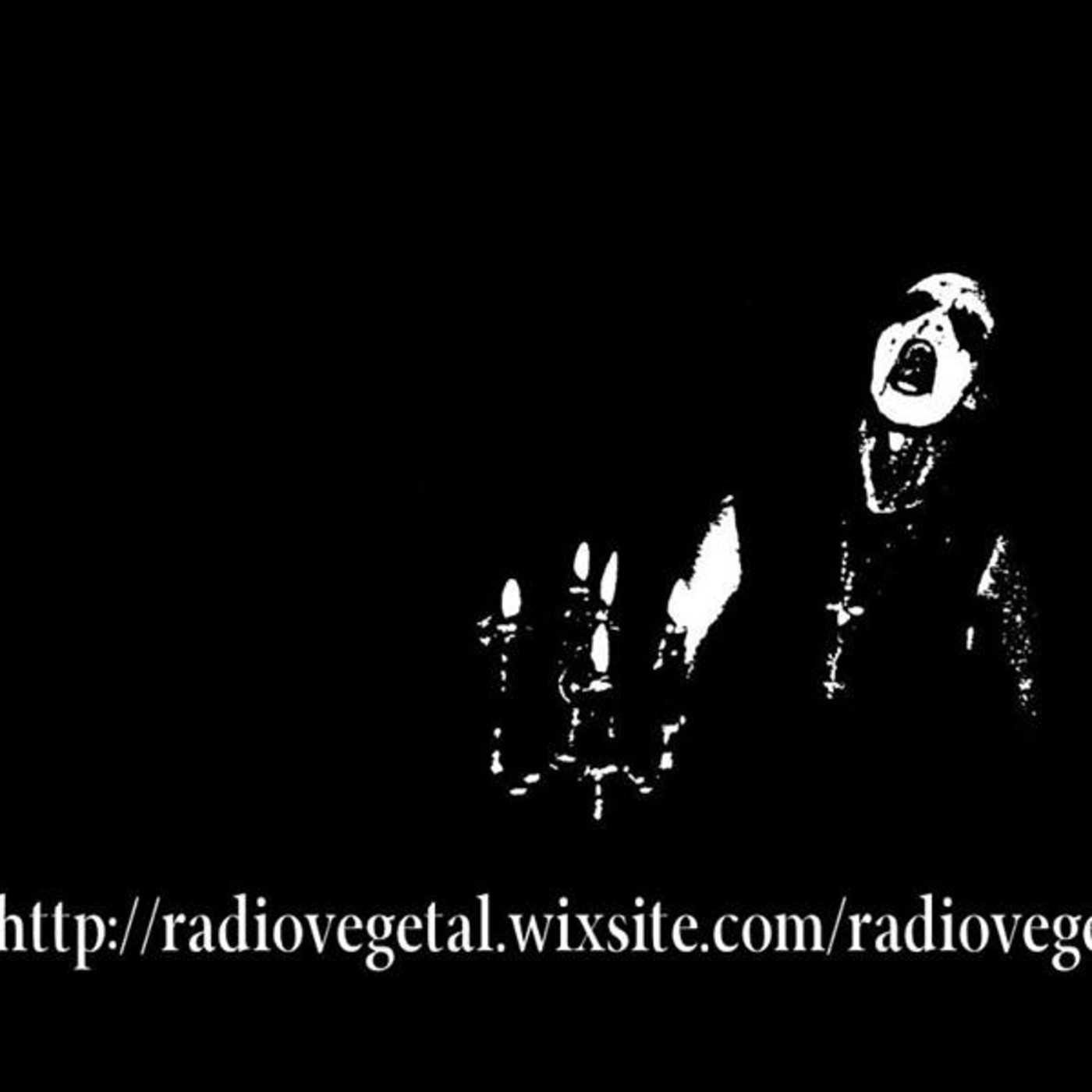 Barra de programas de Radiovegetal