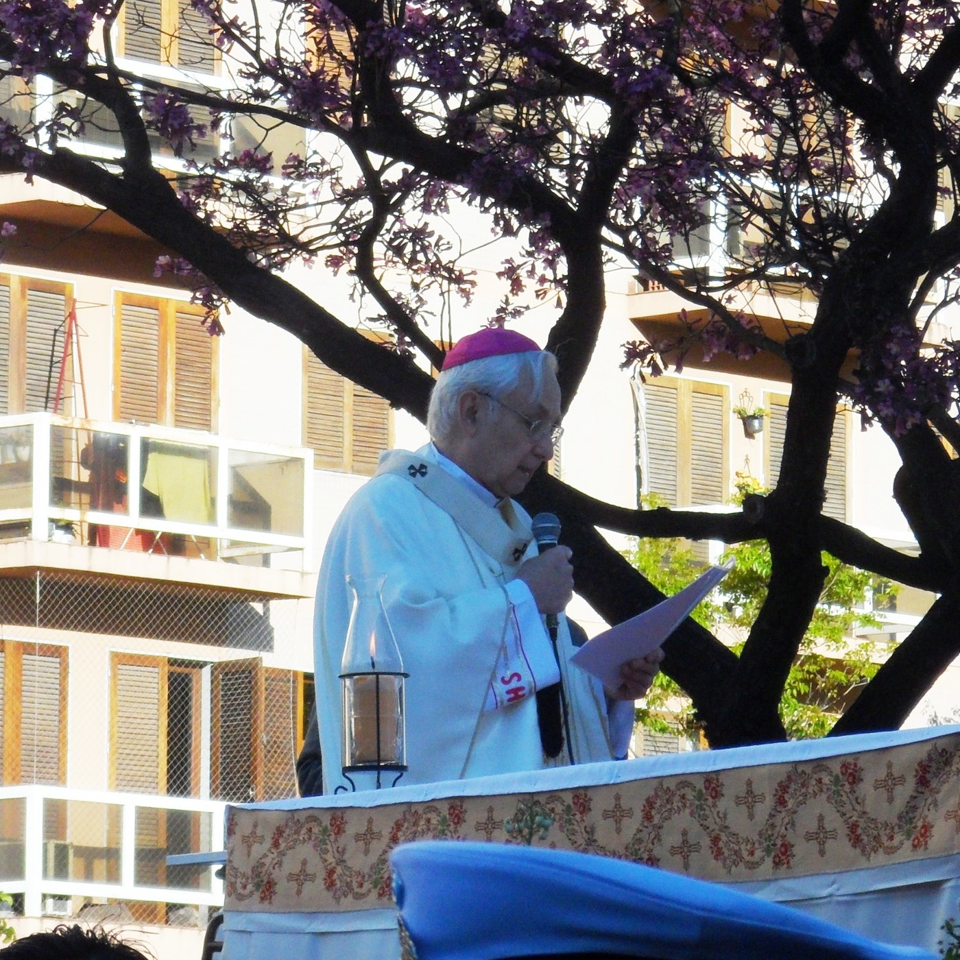 Homilías, entrevistas, varios Católicos