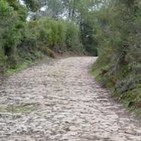 Las calzadas romanas (Omnes viae Romam ducunt)