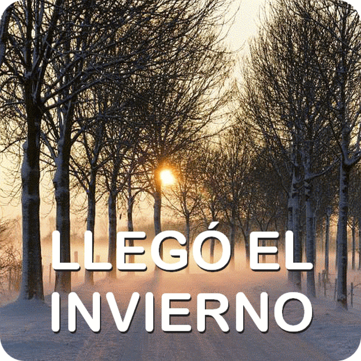 Audio Poemas de Charo Manjón