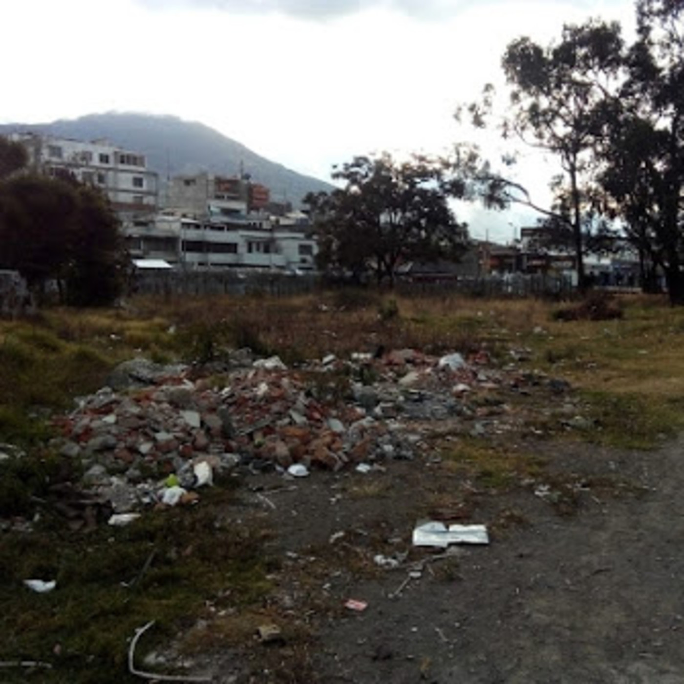 Ambiental Mente