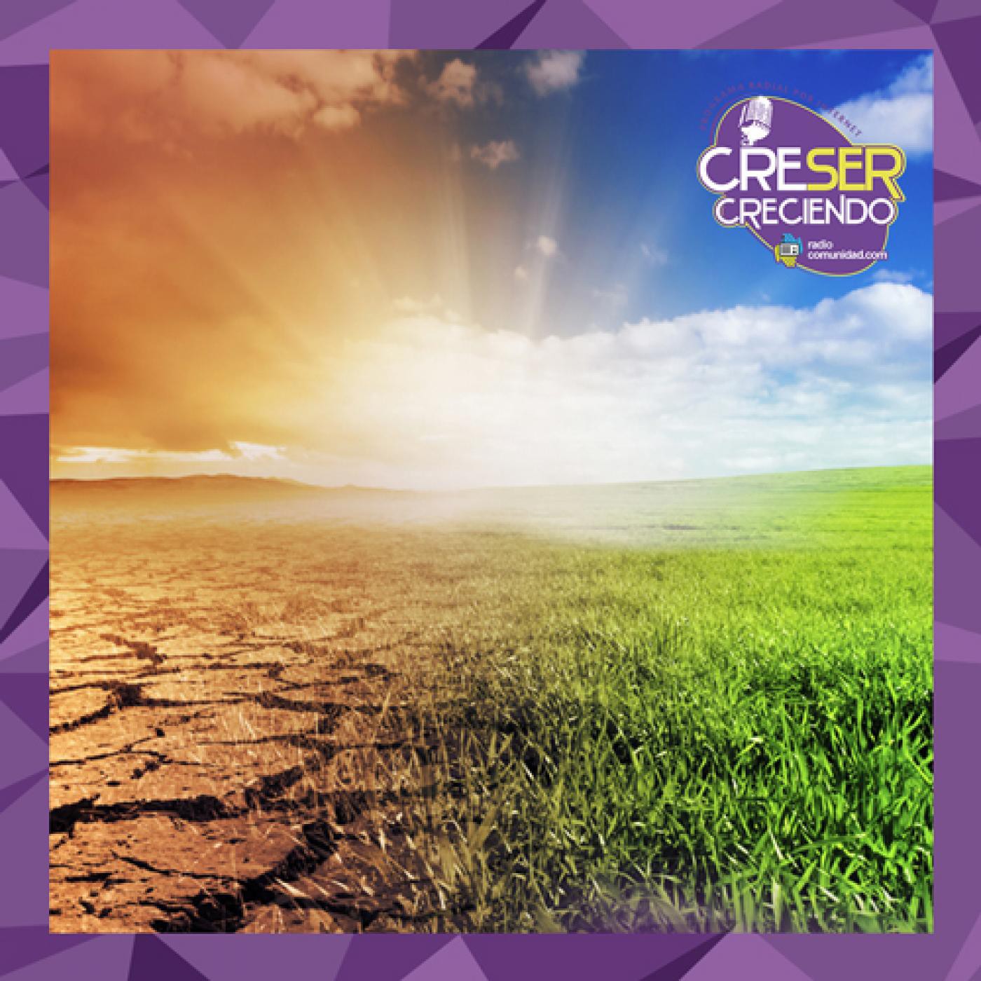 Programa Radial CreSer Creciendo