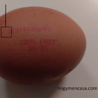 238. Huevos que empiezan por cero (Saga de los huevos: parte IV)