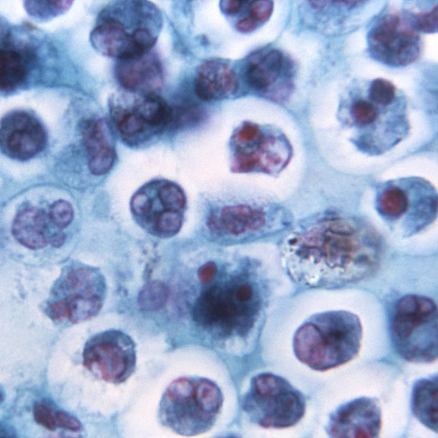 1, 2, 3 por la ciencia radio