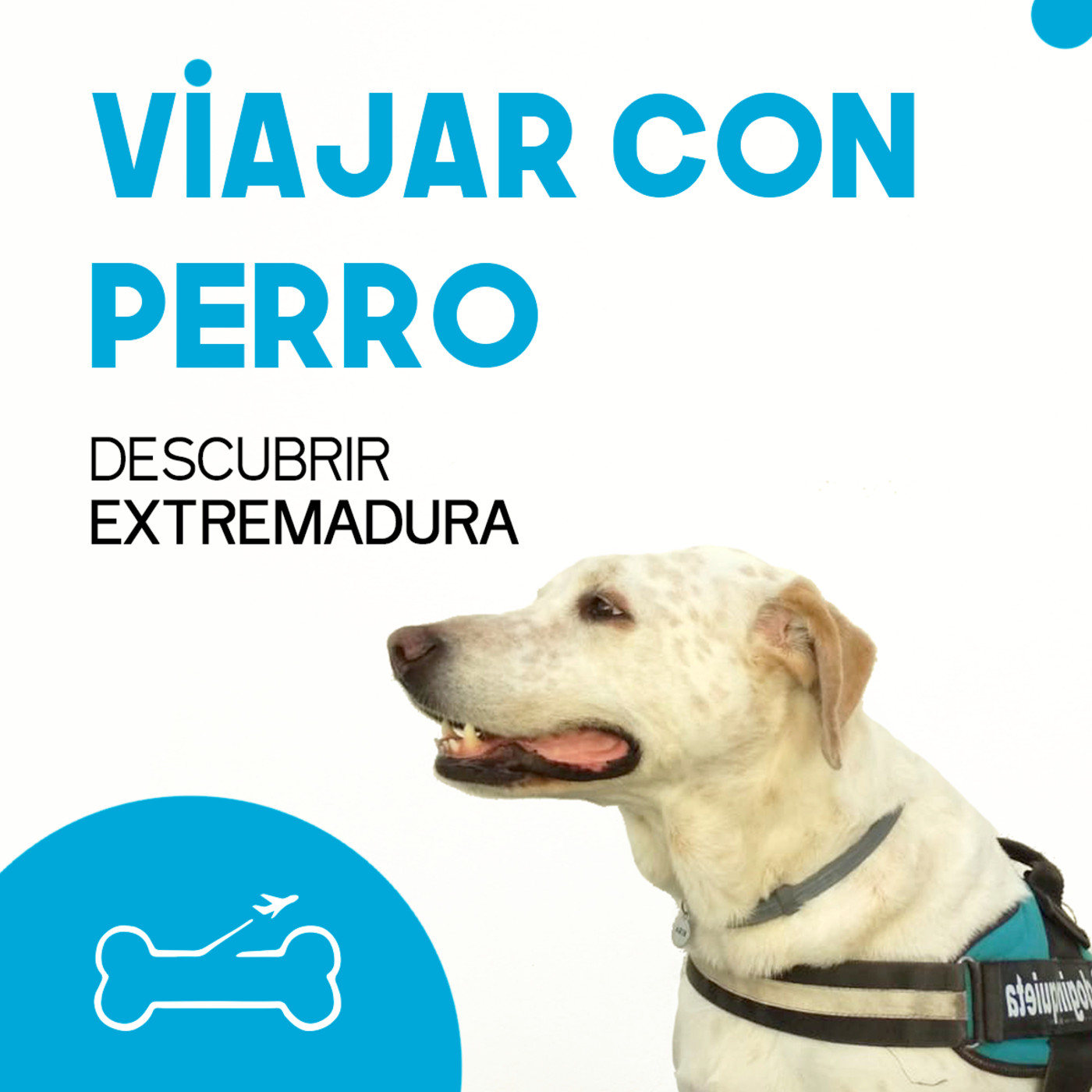 Viajar con perro. El podcast de Turismo Canino