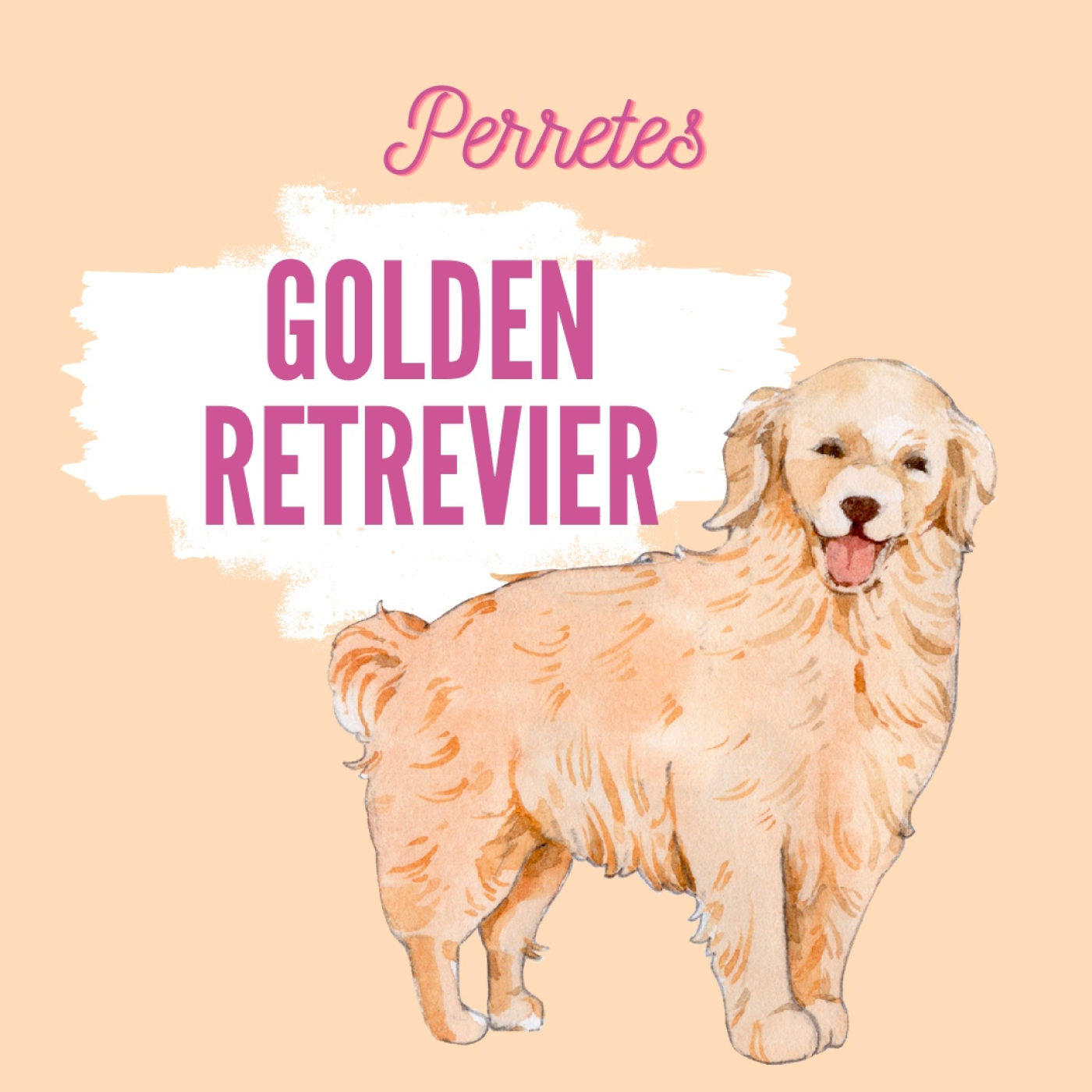 Perretes | Las razas de perros