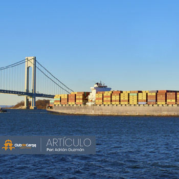 embed image