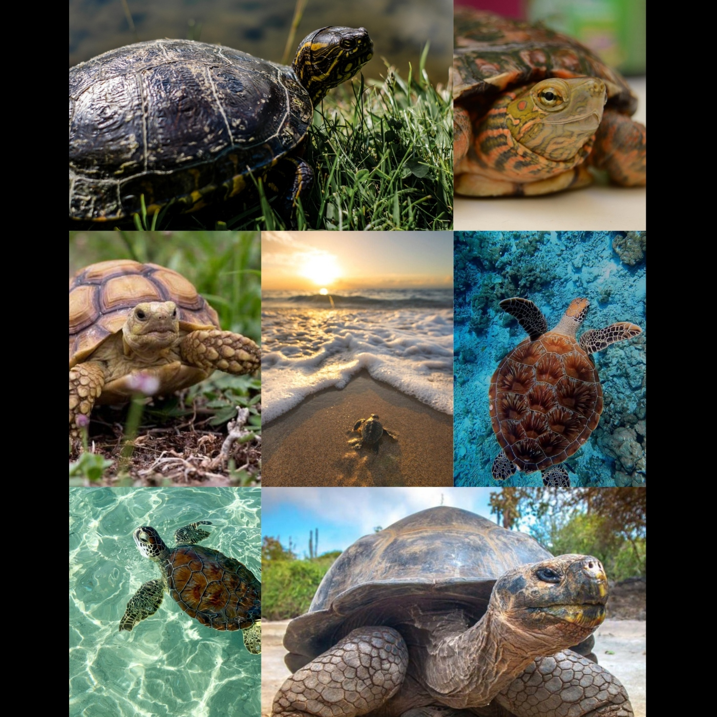 Nuria Claro de Luna médium escribiente