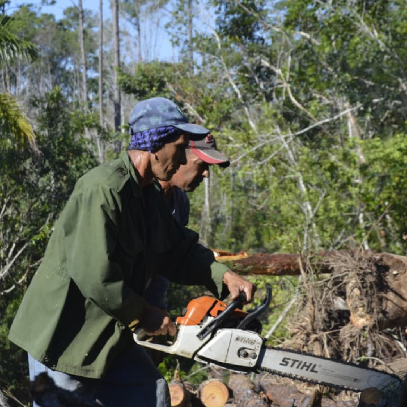 Forestales pinareños dan la batalla