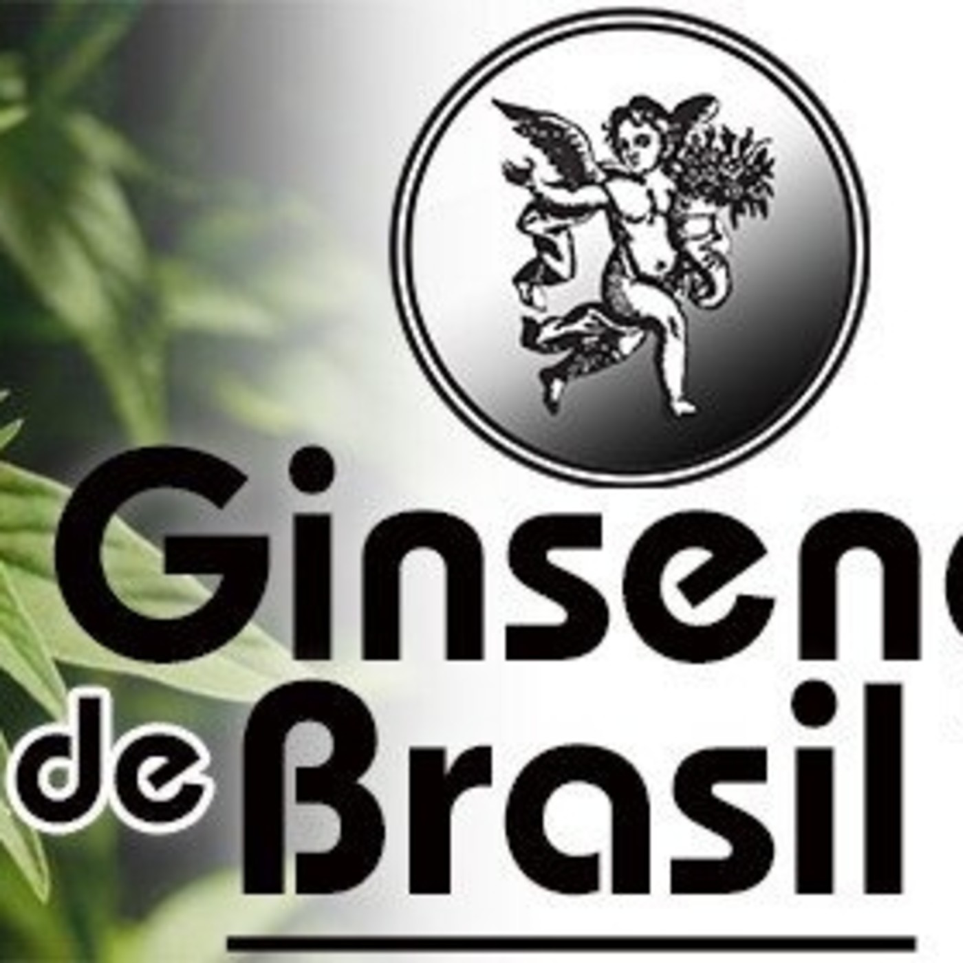 El Ángel de tu Salud - GINGSENG DE BRASIL episode artwork
