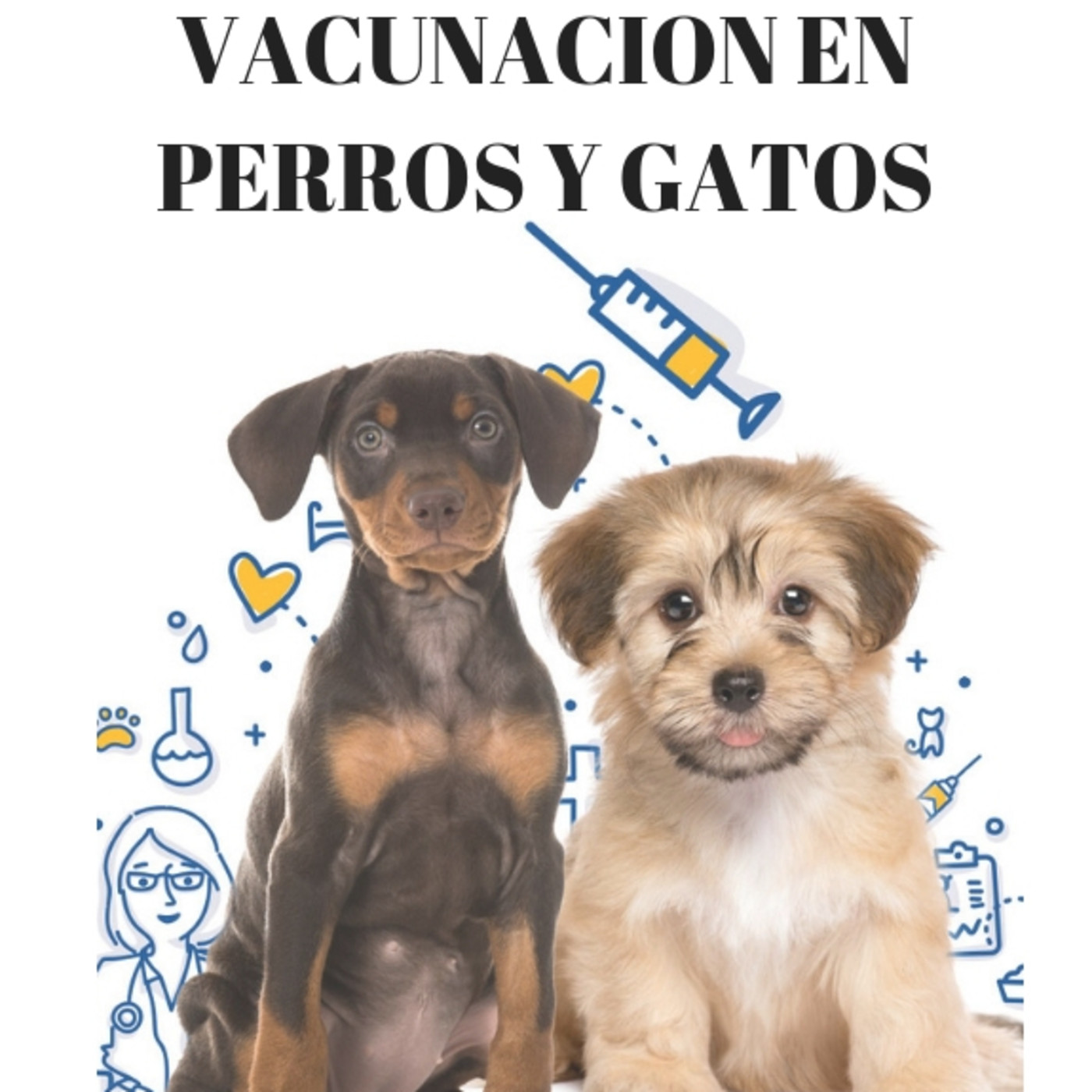Importancia de la Vacunación