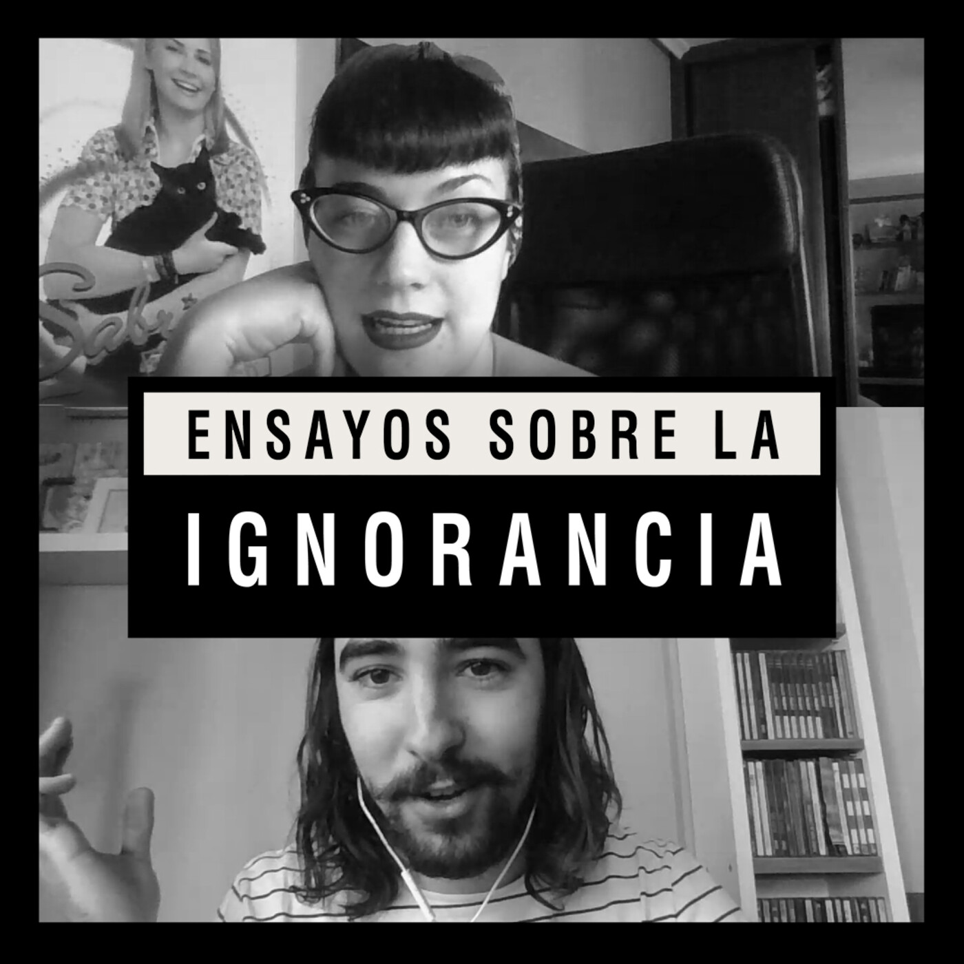 Ensayos sobre la ignorancia
