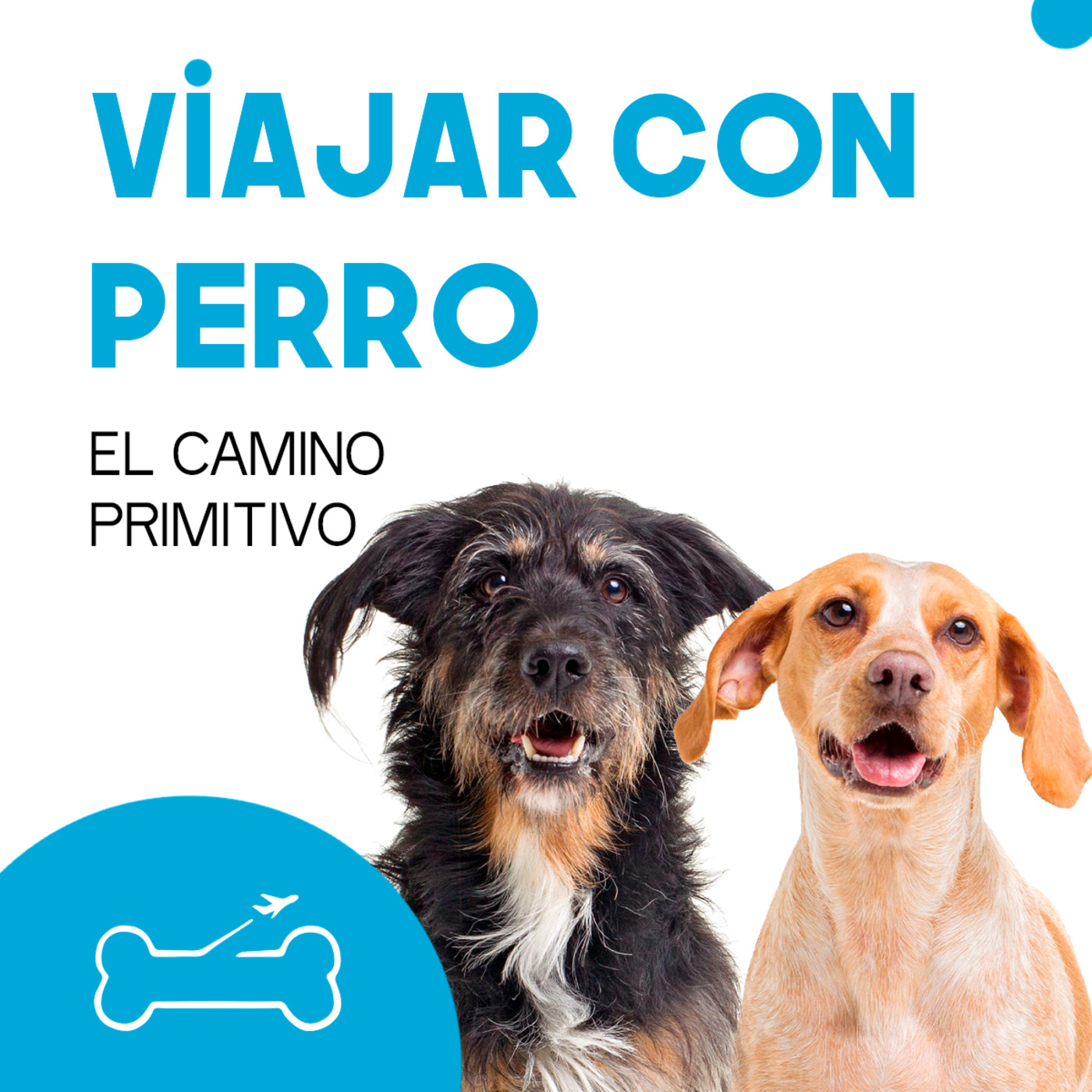 Viajar con perro. El podcast de Turismo Canino