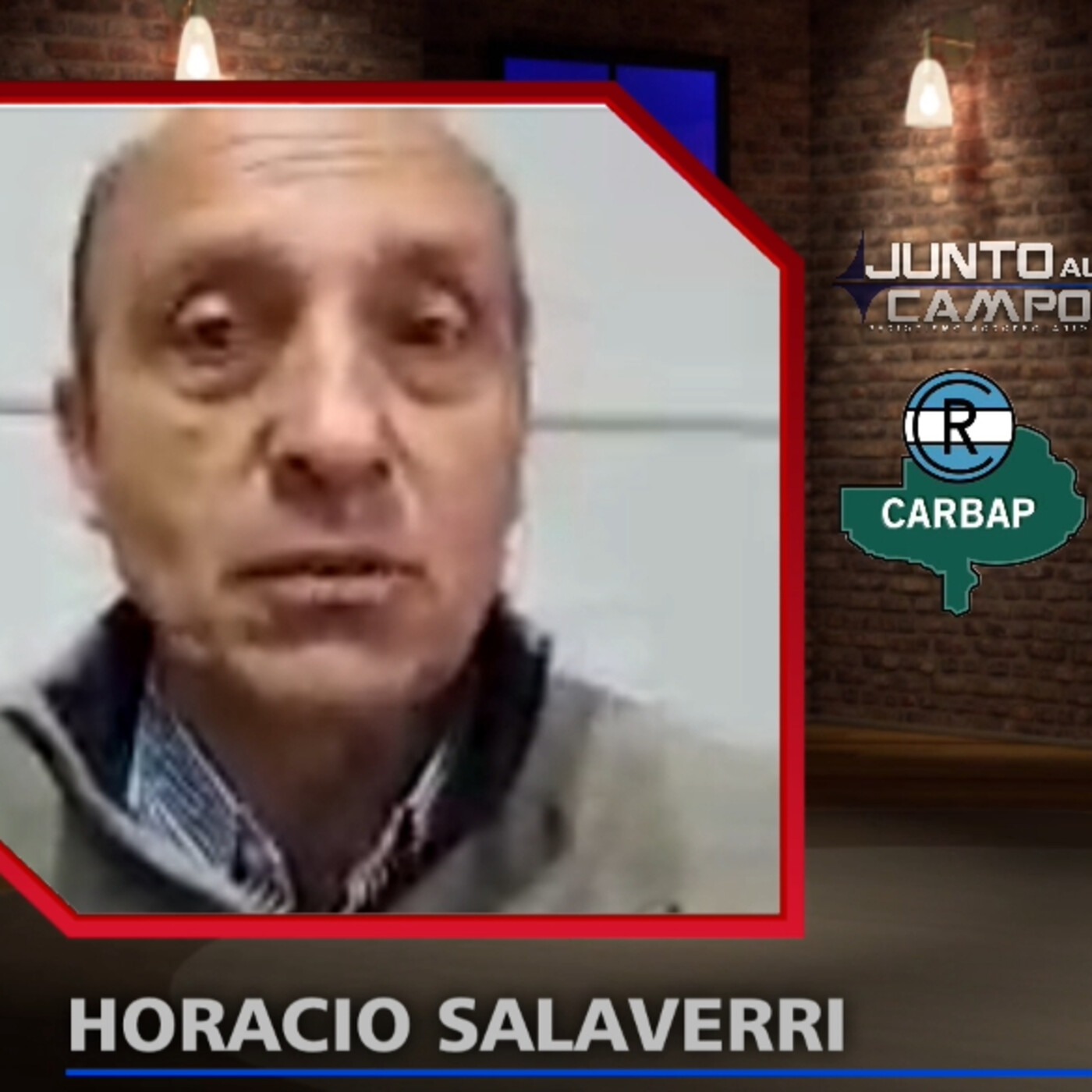 JUNTO AL CAMPO Periodismo Agro