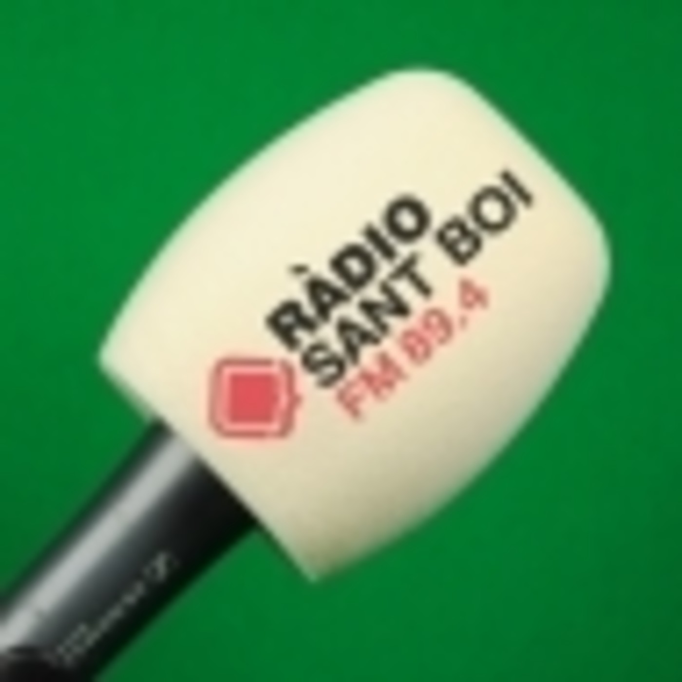 Entrevistes