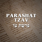 Parashat Tzav - 2020