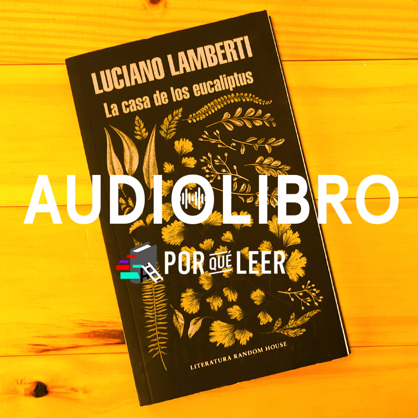 La Ventana - Luciano Lamberti