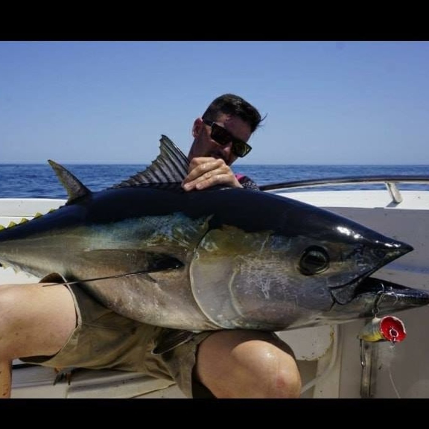 Rio de la Vida pesca