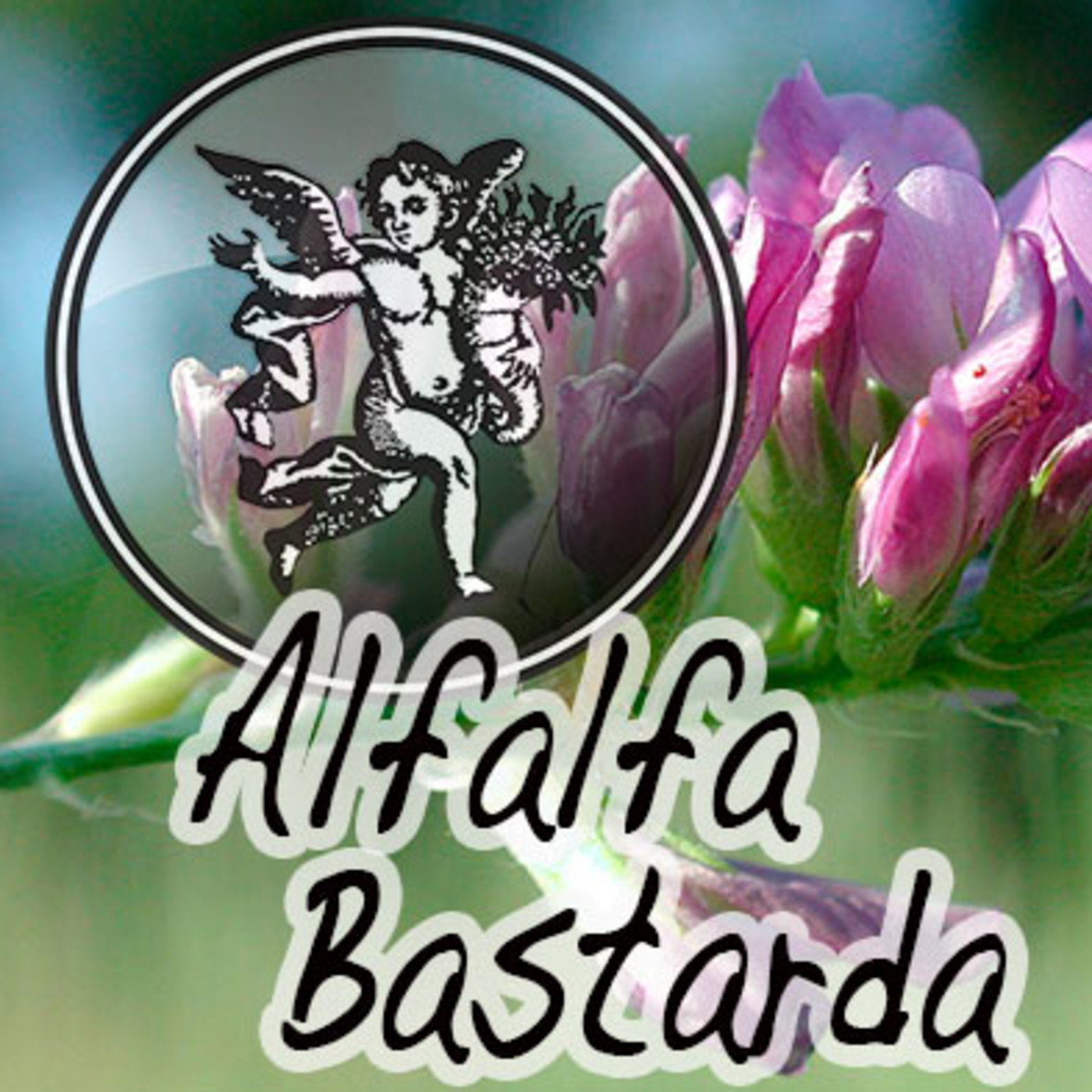El Angel de tu Salud - ALFALFA BASTARDA episode artwork