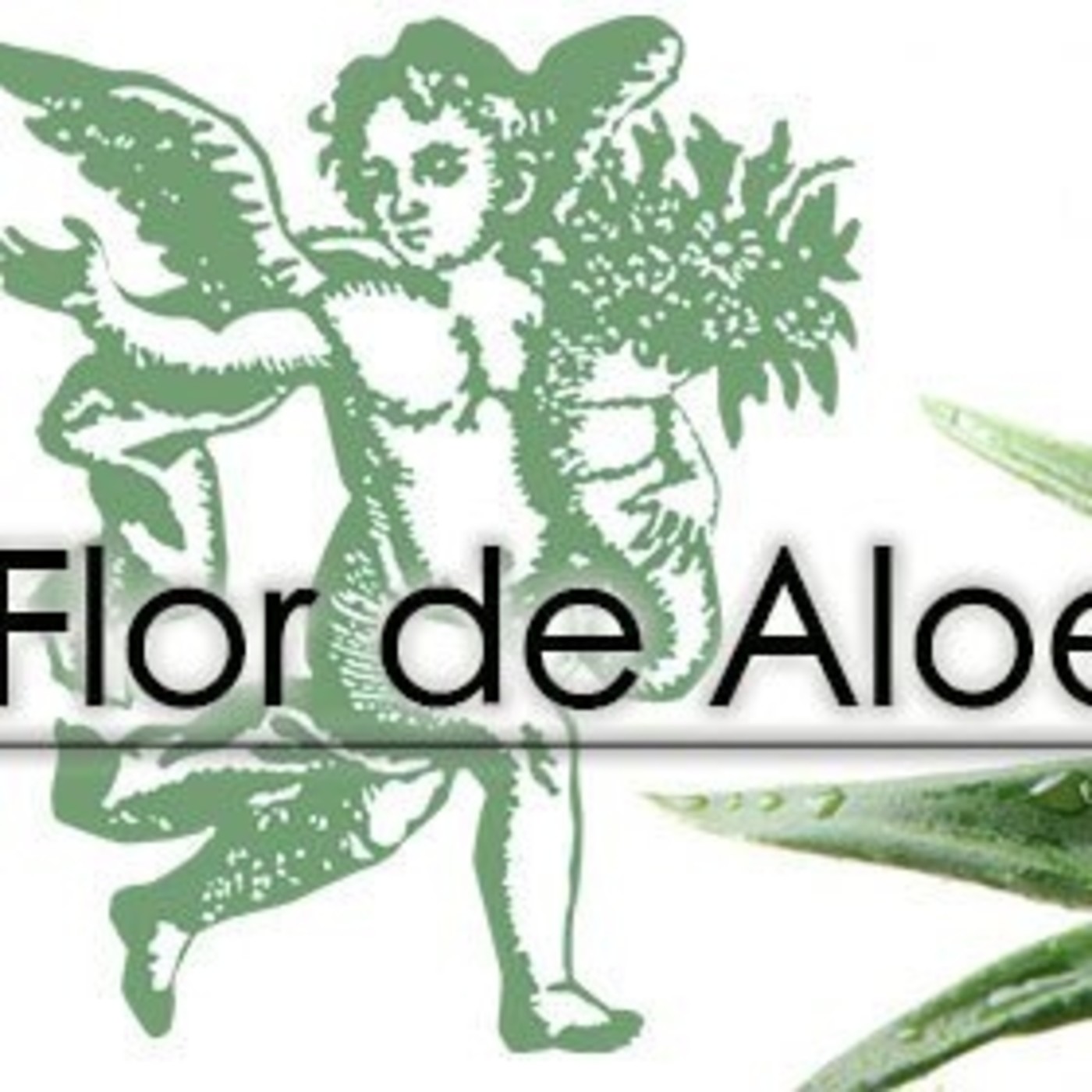 El Ángel de tu Salud - FLOR DE ALOE episode artwork