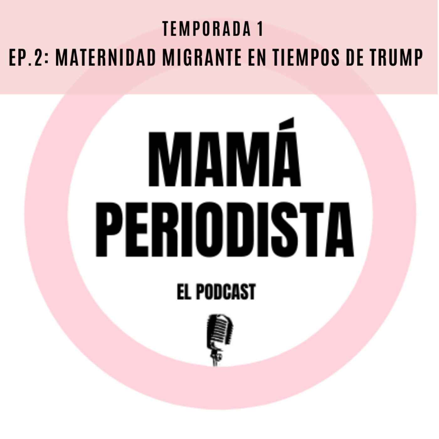 EP2: Maternidad migrantes en tiempos de Trump episode artwork