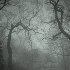 Eirendor - La Luz de Edelth - VI
