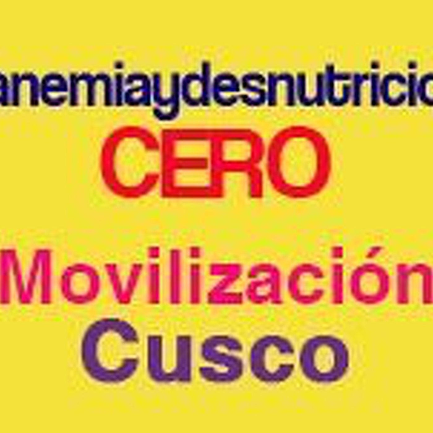 Movilización Regional Anemia y desnutrición CERO