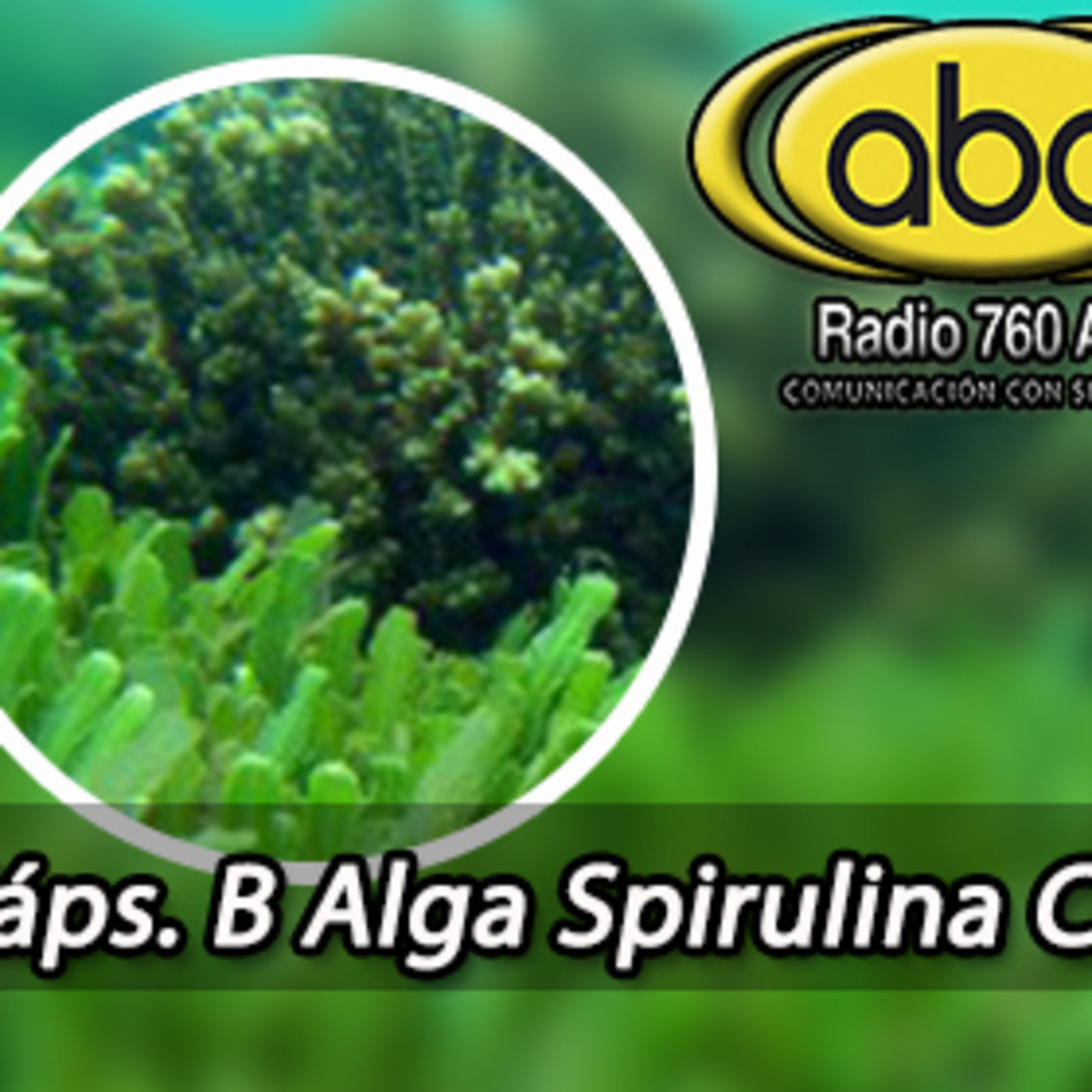 El Ángel de tu Salud - ALGA ESPIRULINA episode artwork
