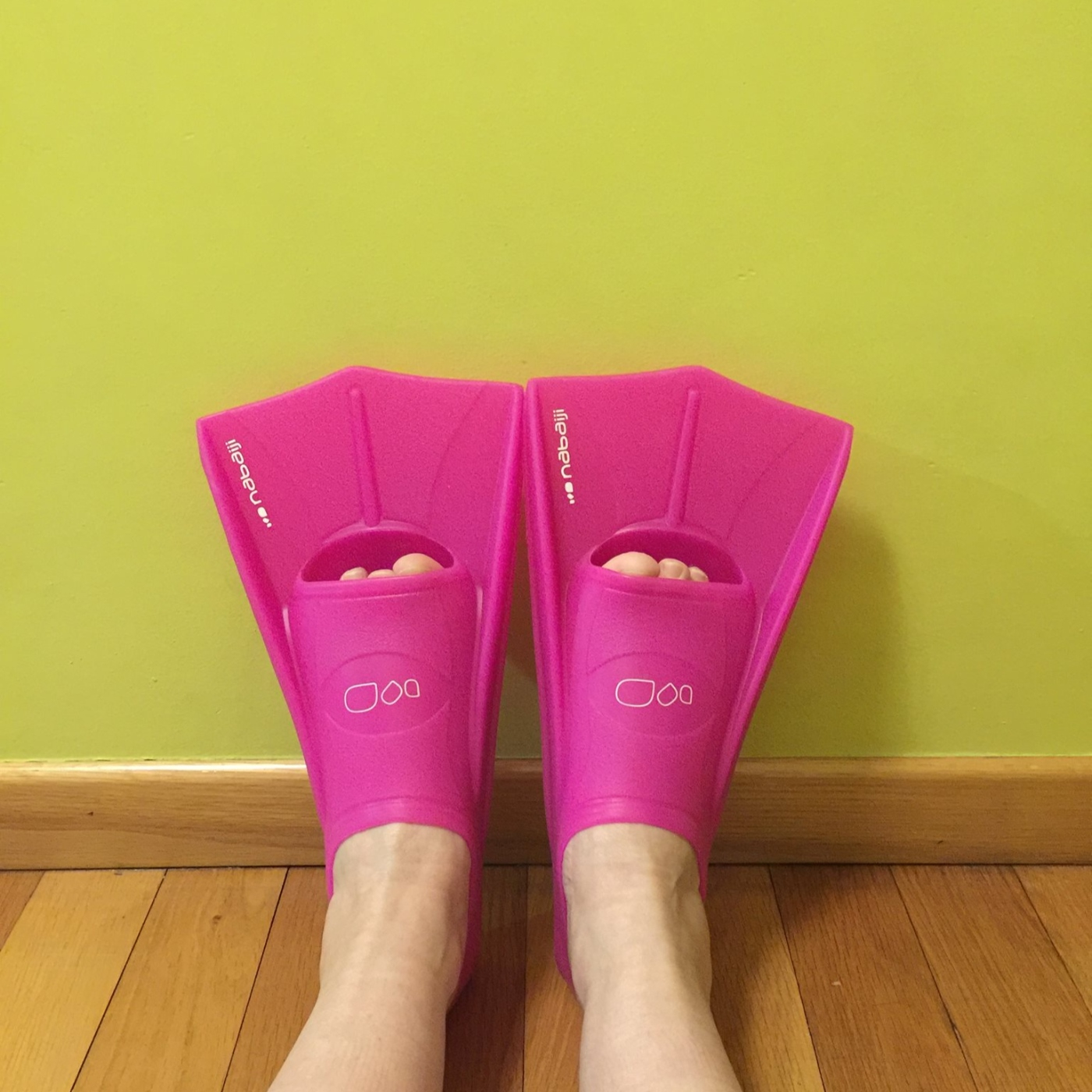 Os cantos do vagalume