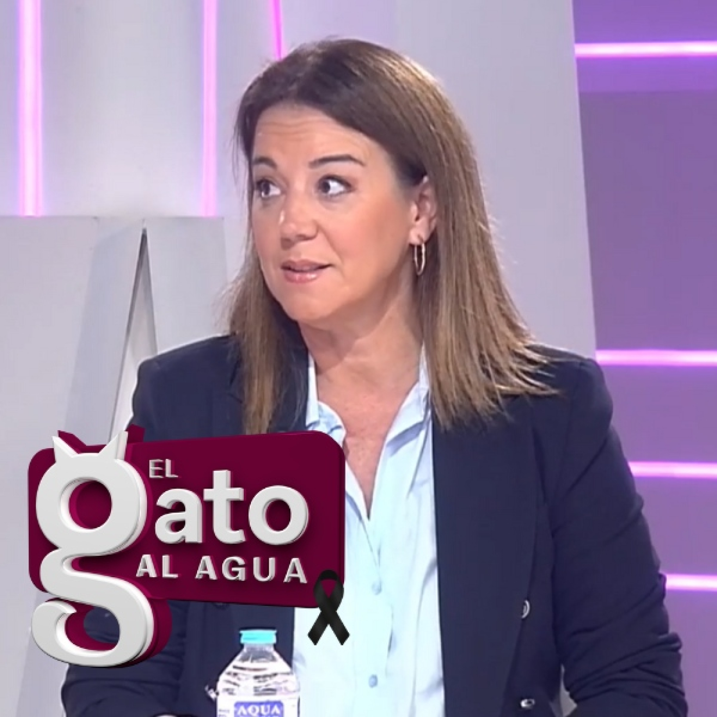 El Gato al agua