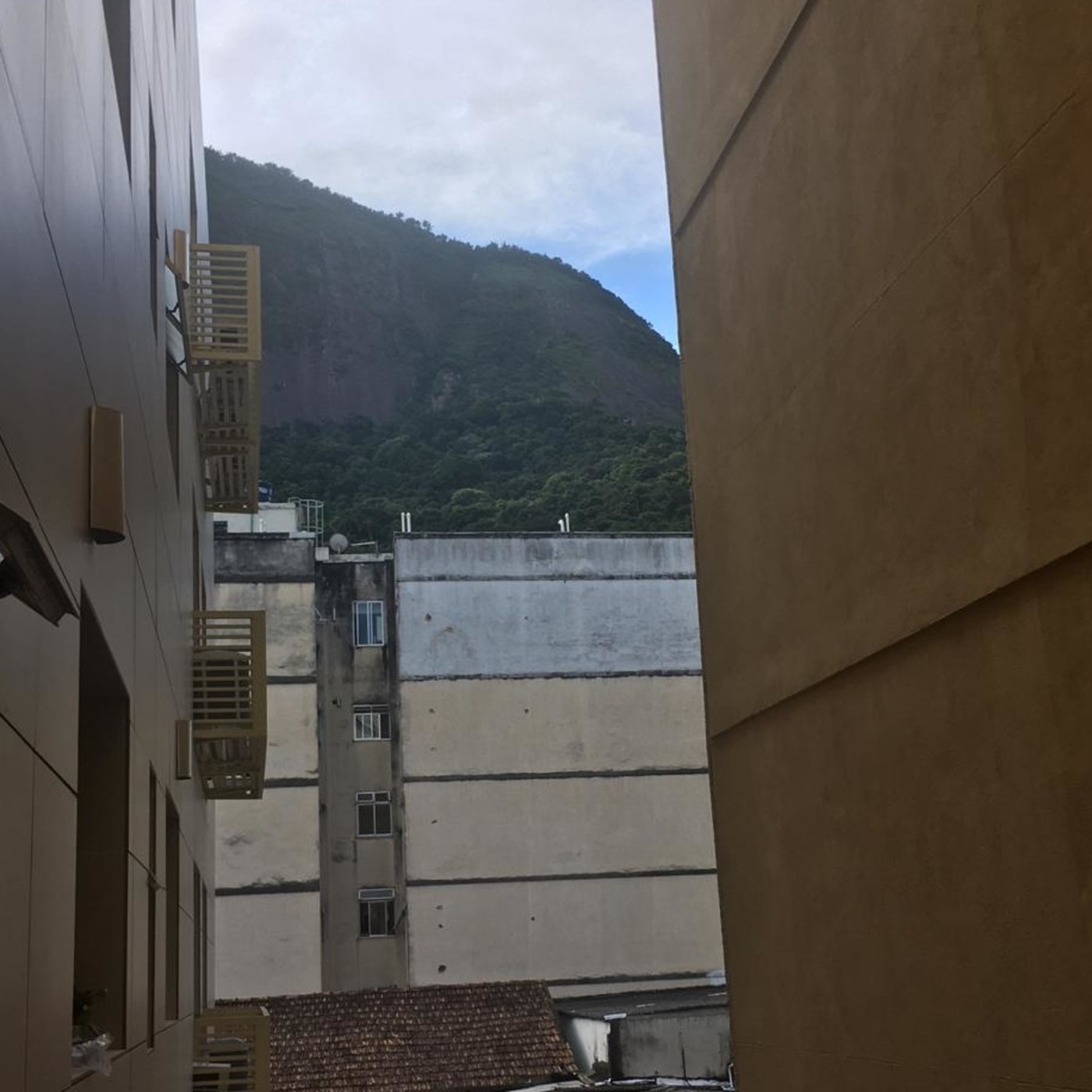 Vozes da quarentena
