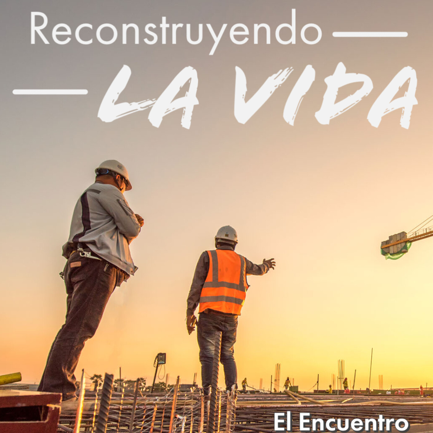 Reconstruyendo la vida episode artwork