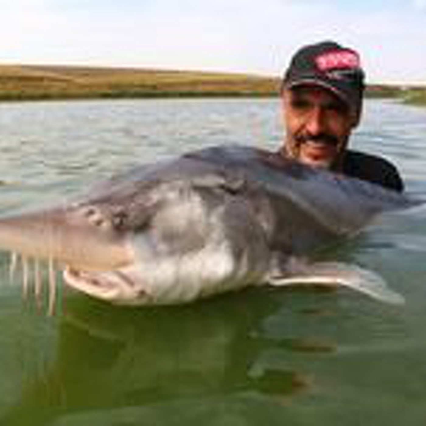 Podcast DIAL DE PESCA