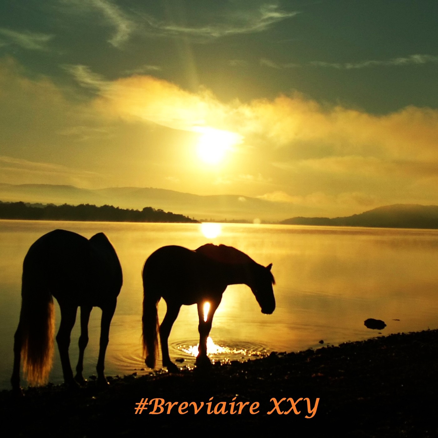 Woman of the Wood, Inspirations Spontanées (FR)