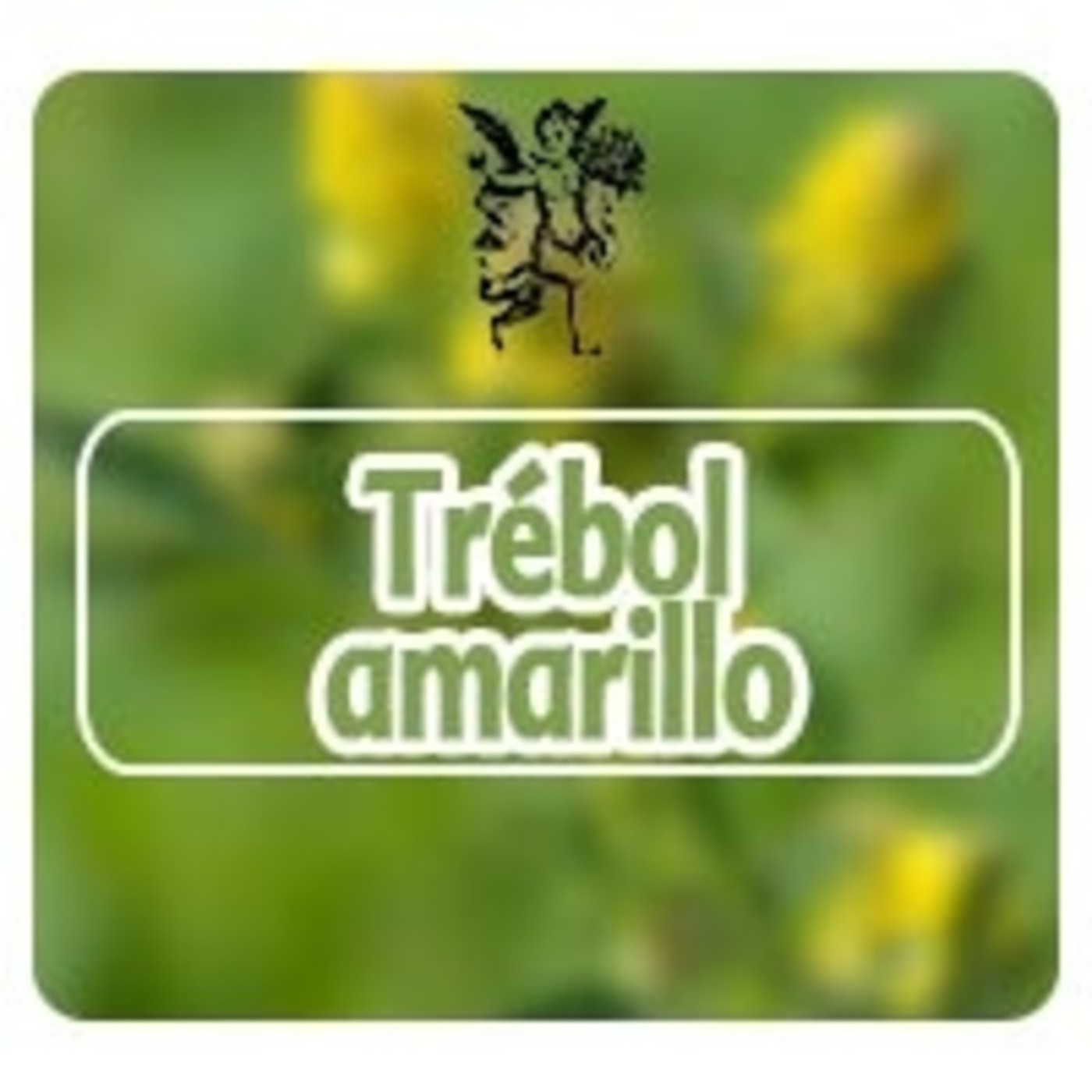 El Ángel de tu Salud - TRÉBOL AMARILLO