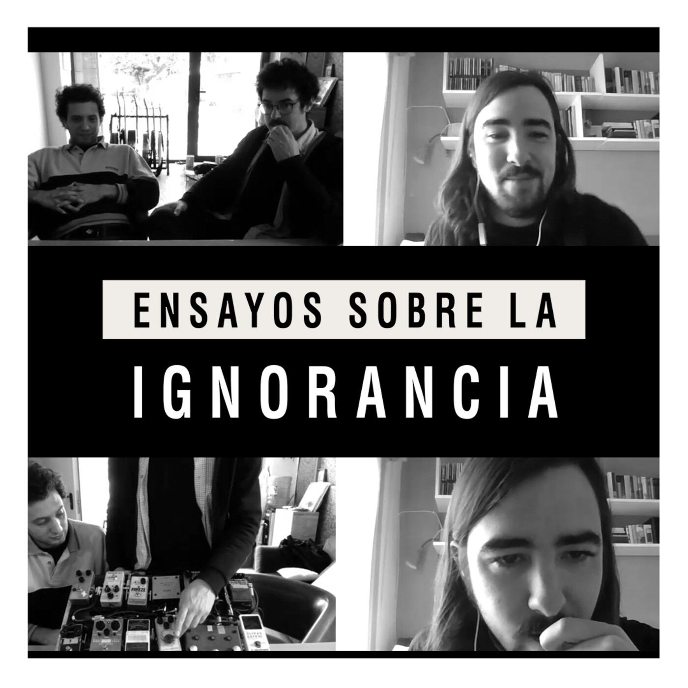 Ensayos sobre la ignorancia