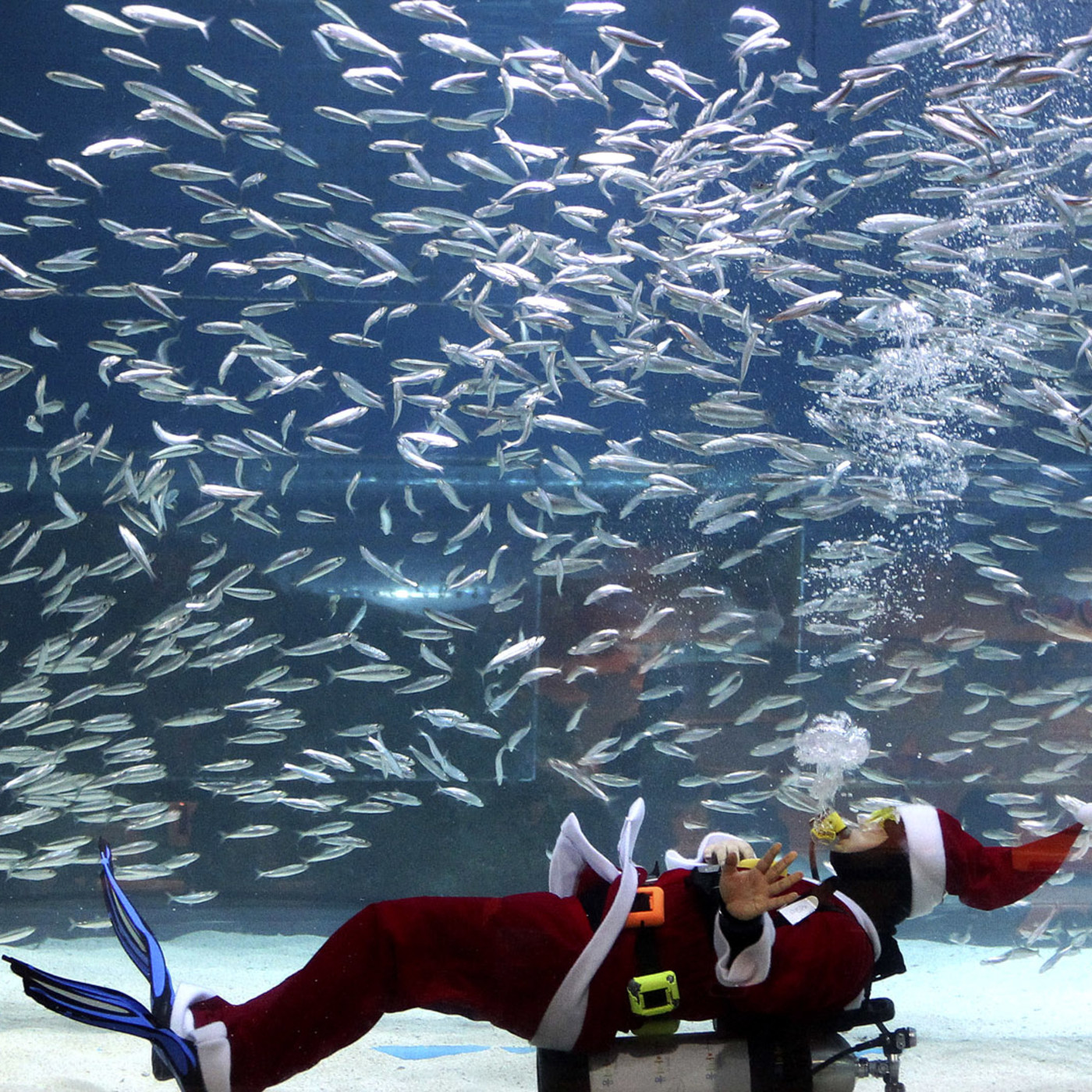 6. ¡Ho, ho, ho!