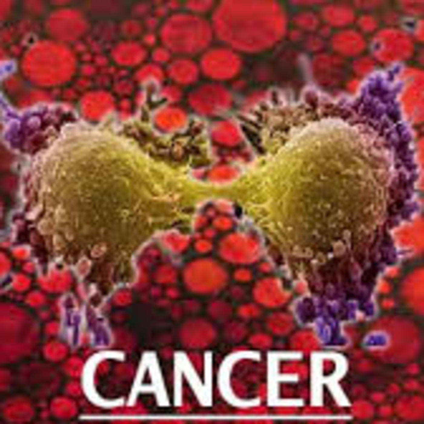 REAL COMO LA VIDA MISMA