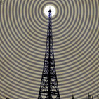 QLN Program 1