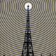 QLN Program 1