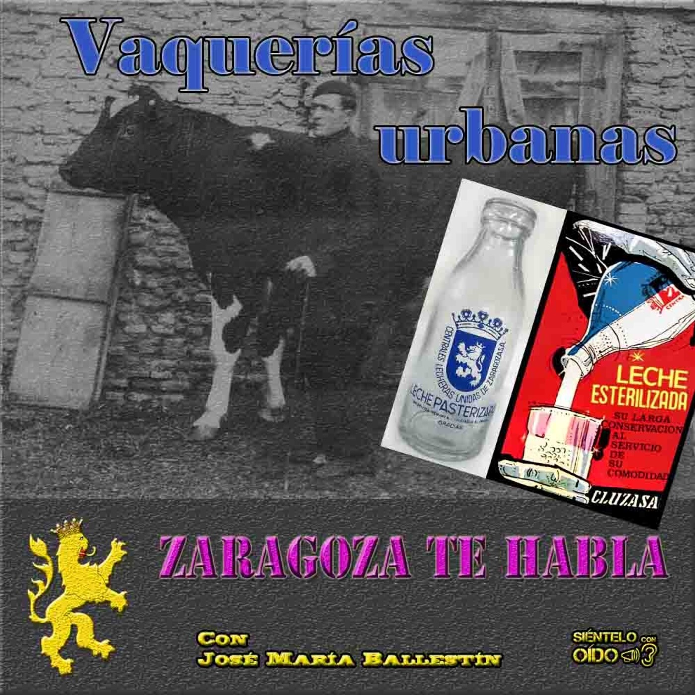 ZARAGOZA TE HABLA