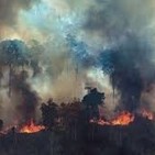 Incendios en el amazonas