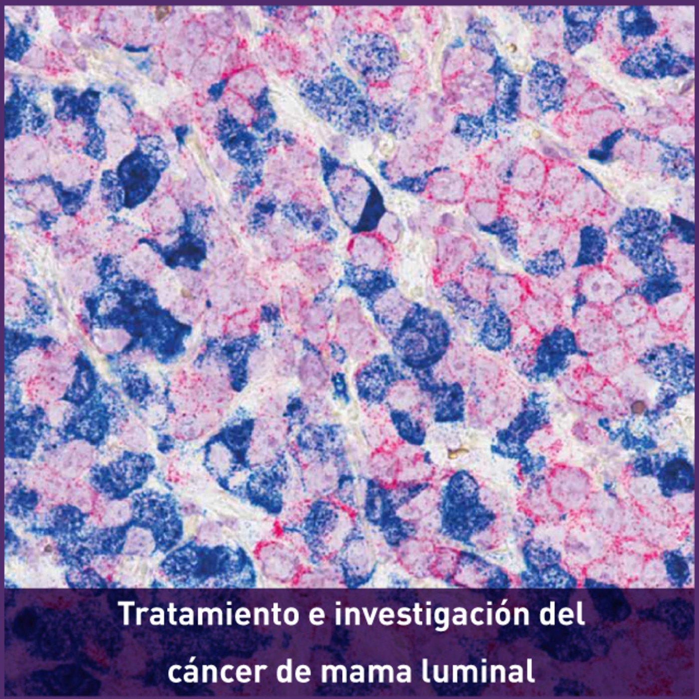 GEICAM T-Habla