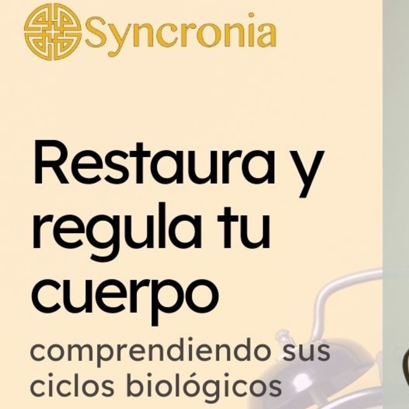 Charlas Syncronia
