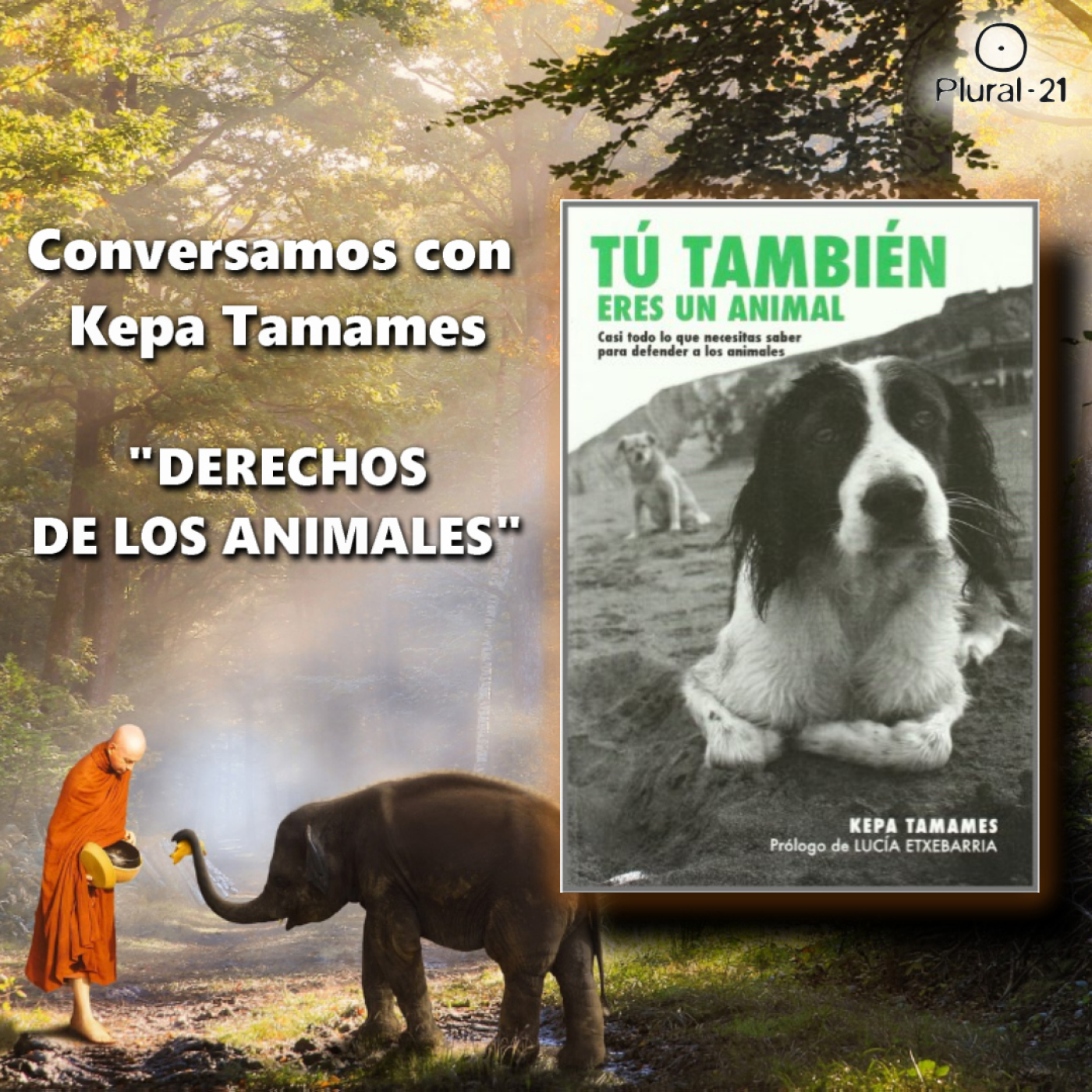 Conferencias en Plural 21