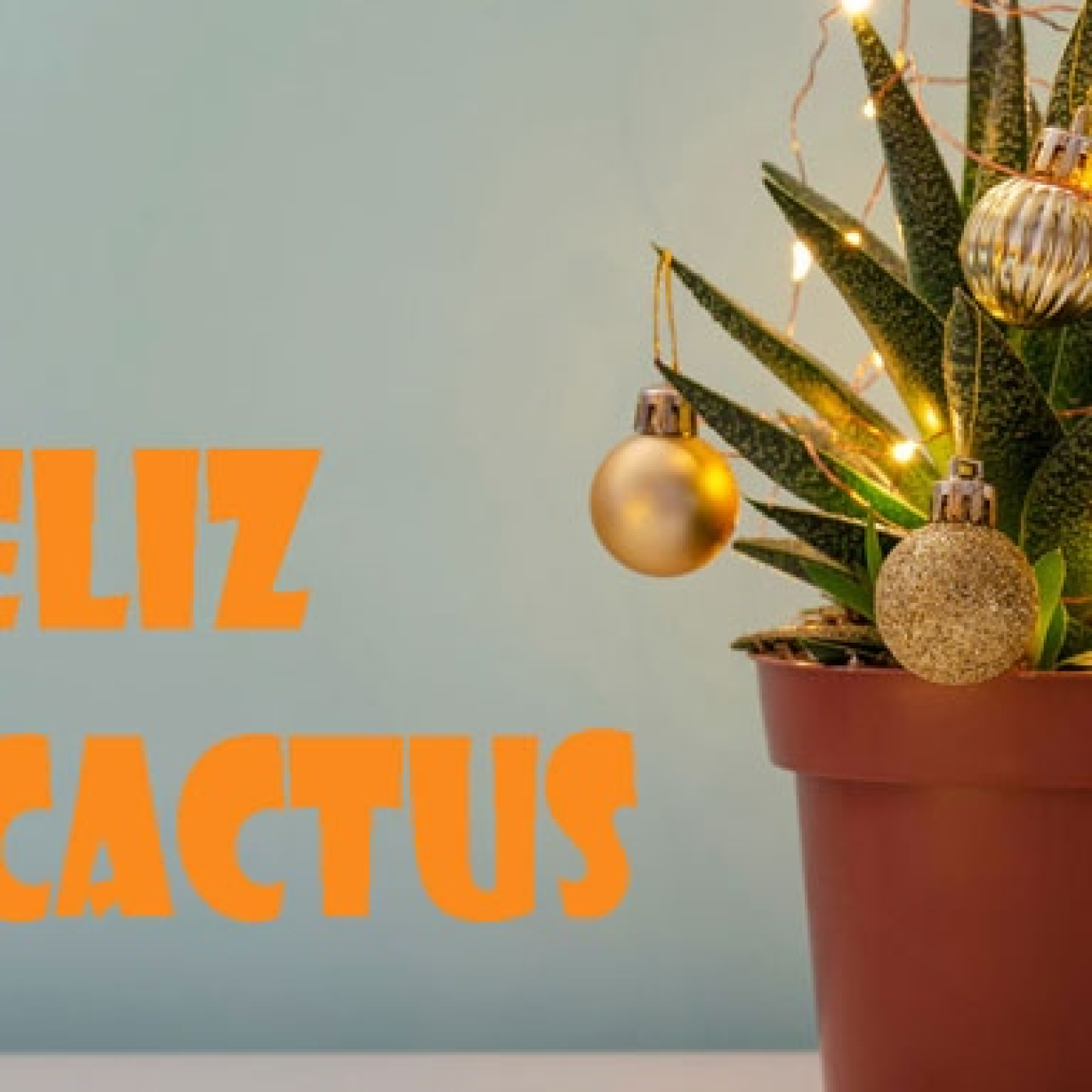 El Cactus